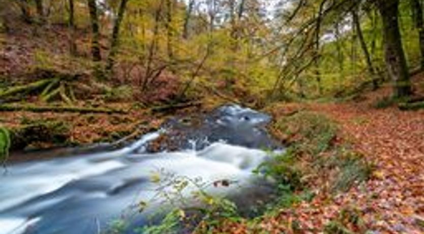 Photo of Kiri Cottage, Hawkridge