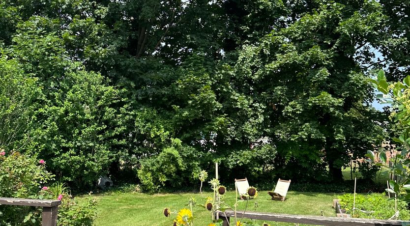 Photo of A Country Call