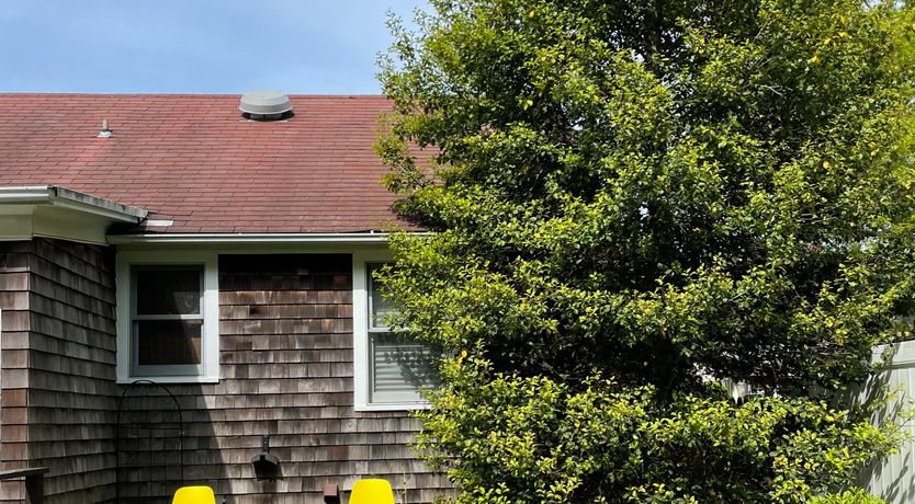 Photo of A Country Call