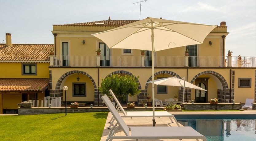 Photo of Grapes of Time