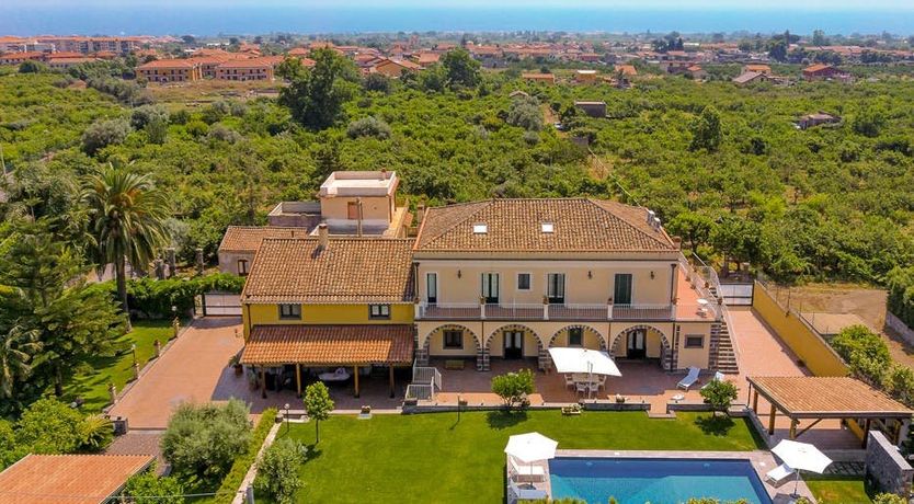 Photo of Grapes of Time