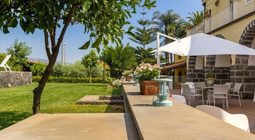 Photo of Grapes of Time