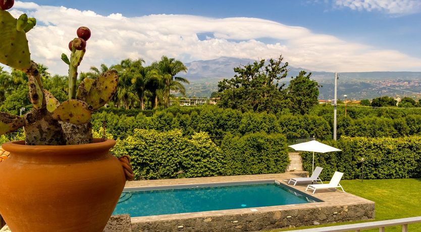 Photo of Grapes of Time