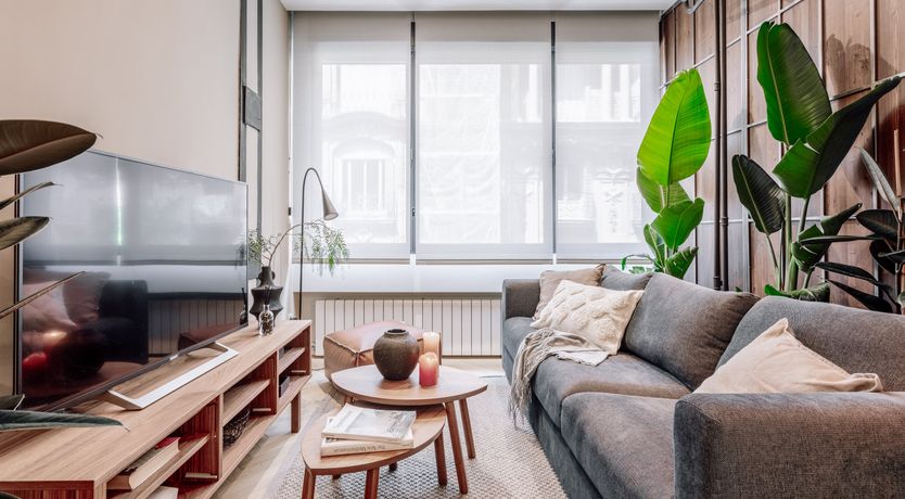 Photo of Monstera Lattice