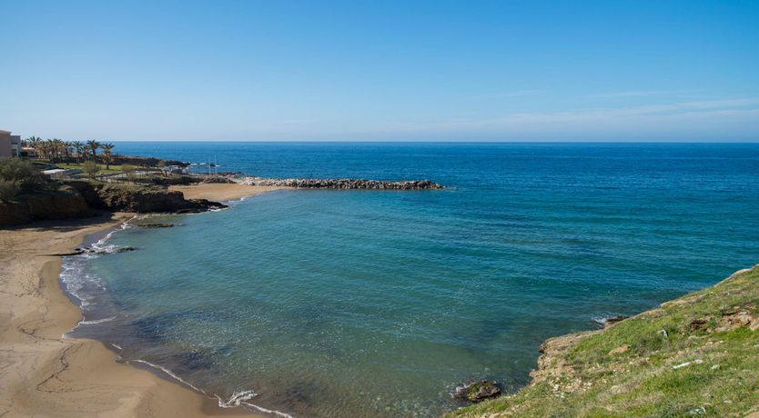 Photo of Sugared Sun