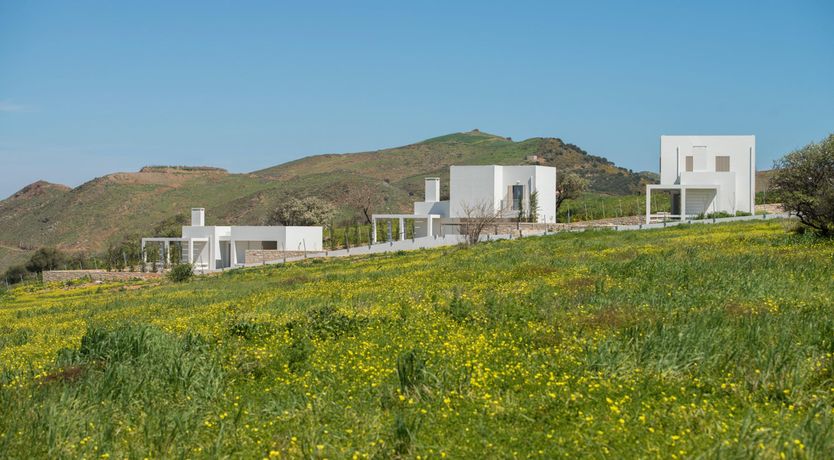 Photo of Sugared Sun