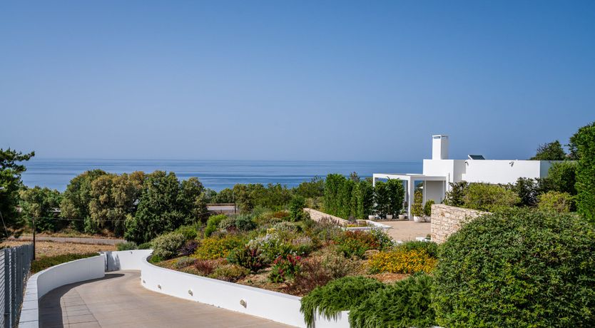 Photo of Sugared Sun