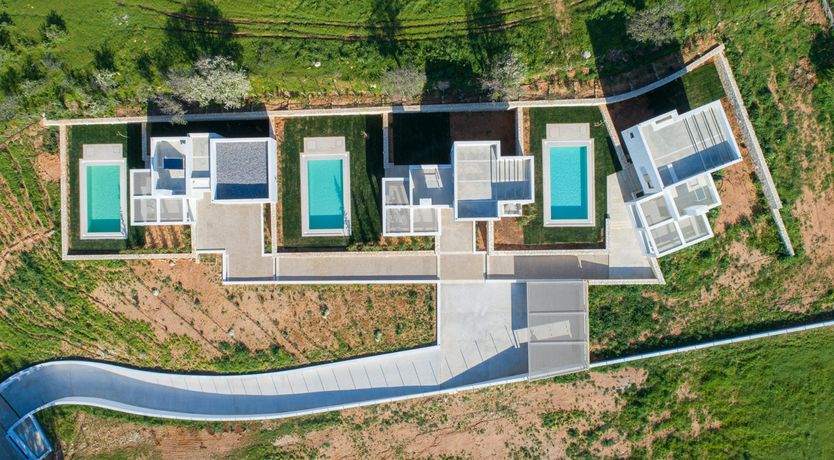 Photo of Sugared Sun