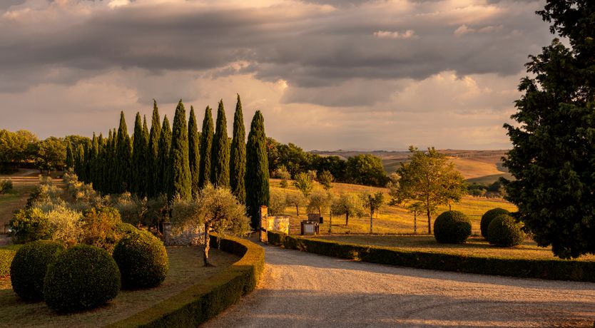 Photo of Titiro Toscano