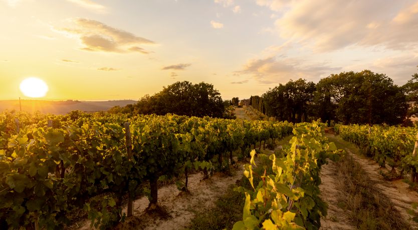 Photo of Titiro Toscano