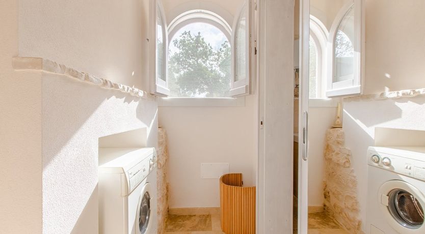 Photo of The Olive Groves