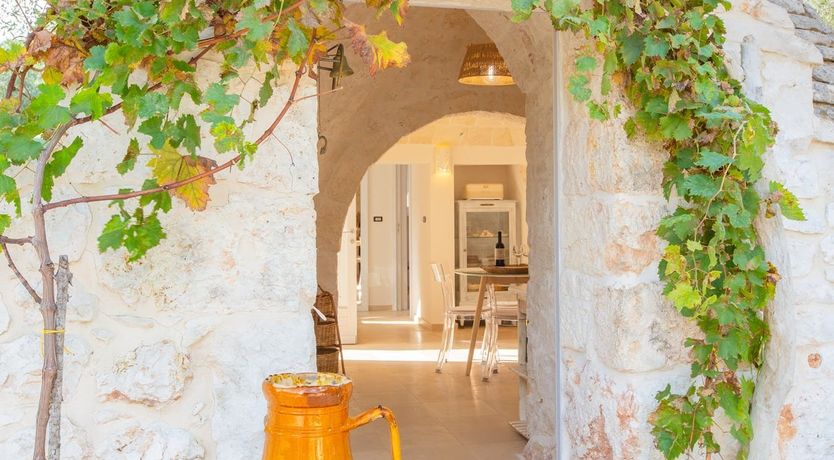 Photo of The Olive Groves