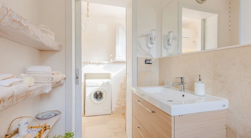 Photo of The Olive Groves