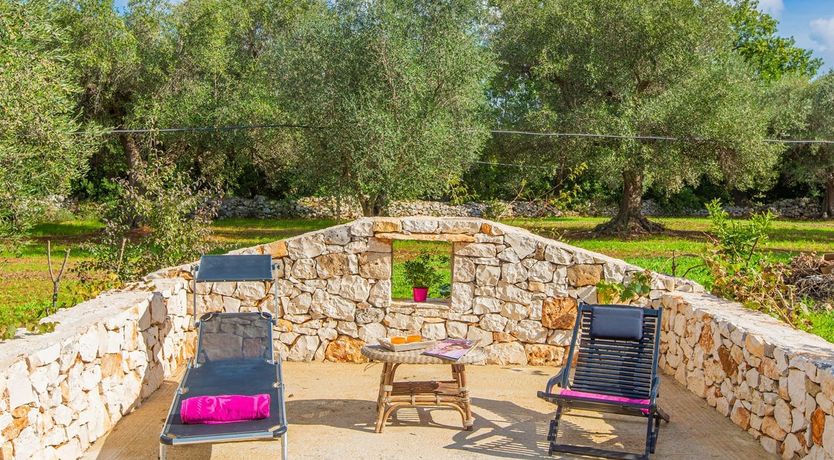 Photo of The Olive Groves