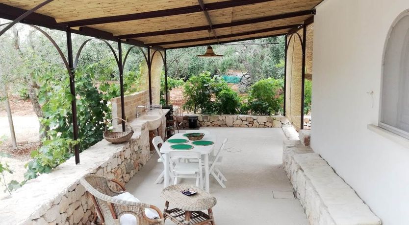 Photo of The Olive Groves