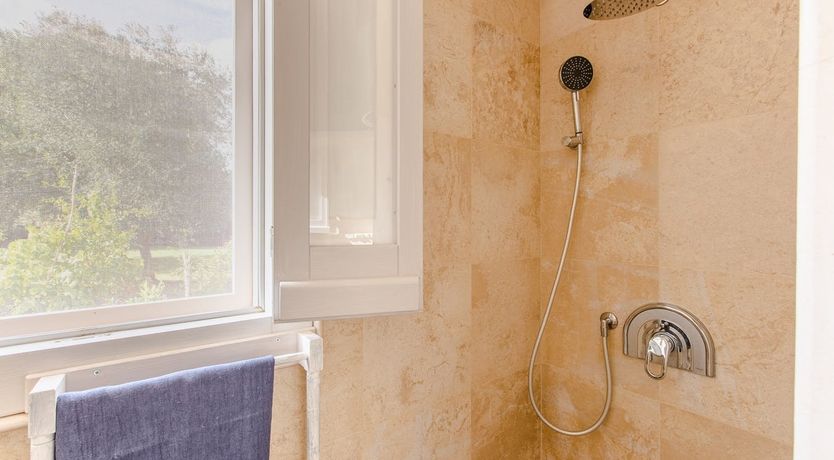 Photo of The Olive Groves