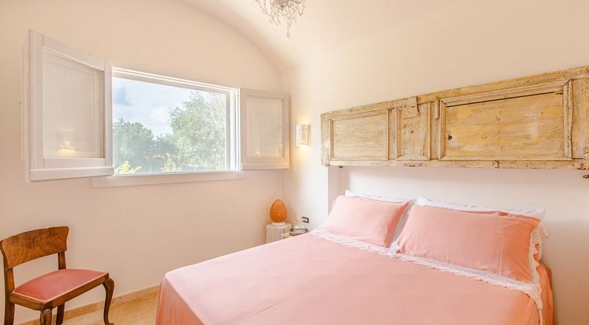 Photo of The Olive Groves