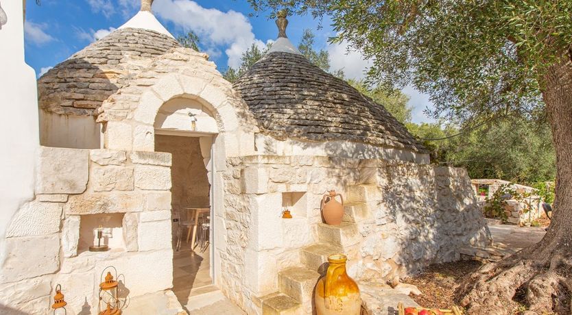 Photo of The Olive Groves