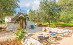 Photo of The Olive Groves