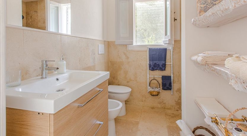 Photo of The Olive Groves