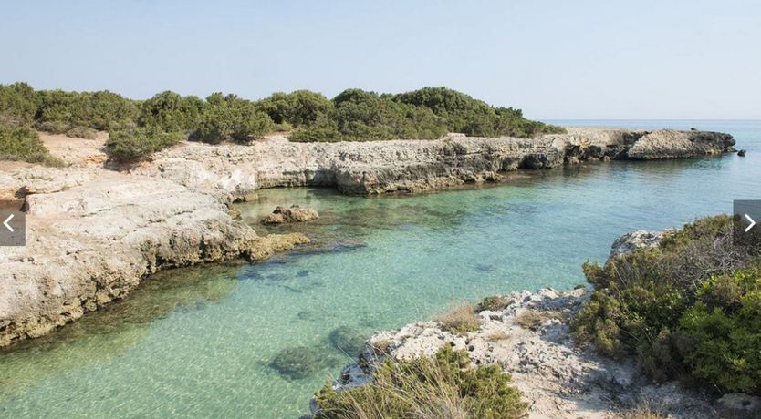 Photo of The Olive Groves