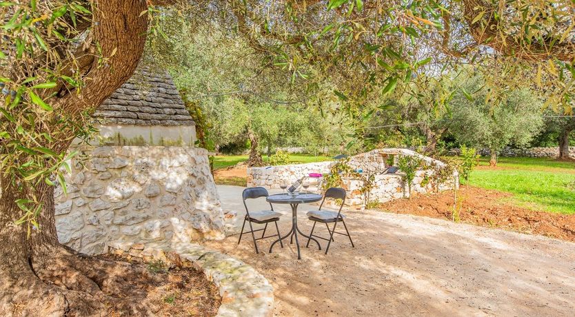 Photo of The Olive Groves