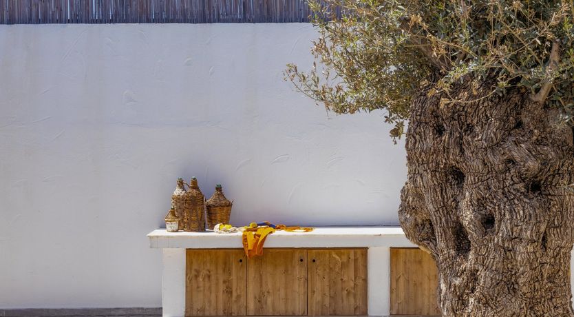 Photo of Sun and Stars