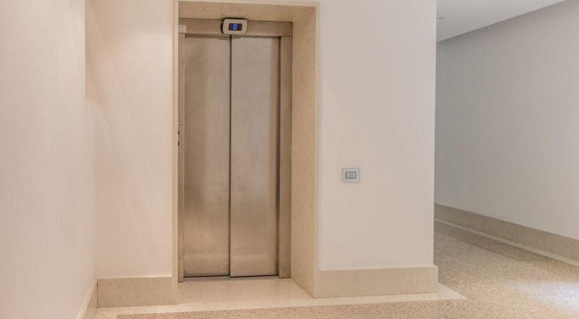 Photo of Blue Velvet Dreams