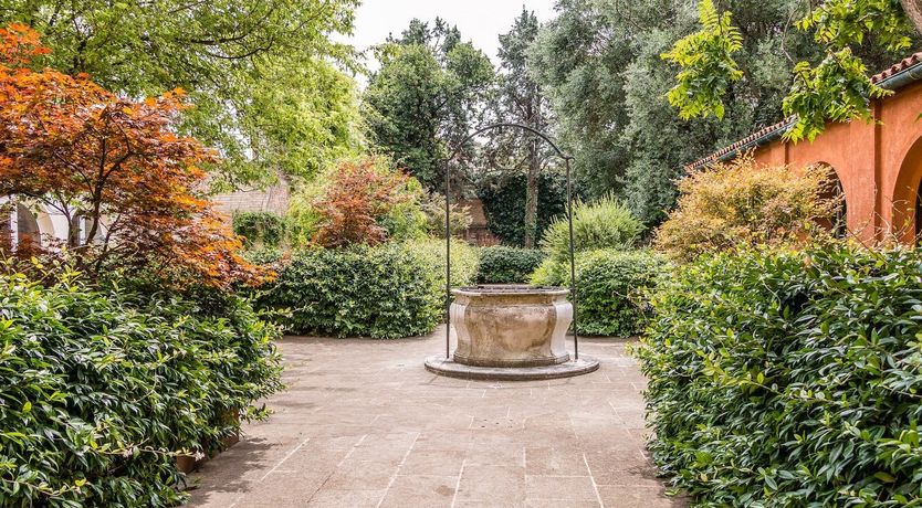 Photo of Blue Velvet Dreams