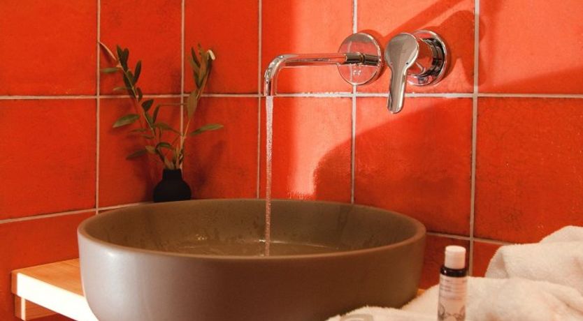 Photo of The Water Dragon