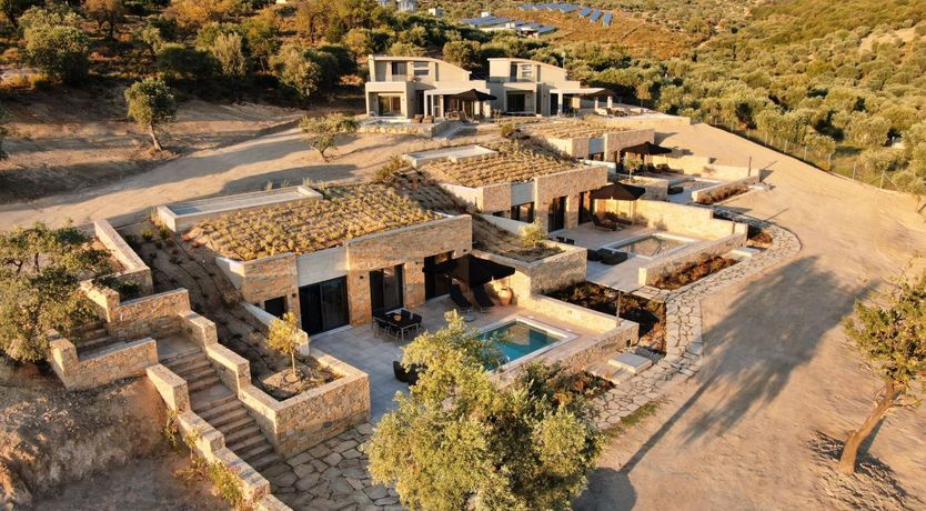 Photo of The Water Dragon