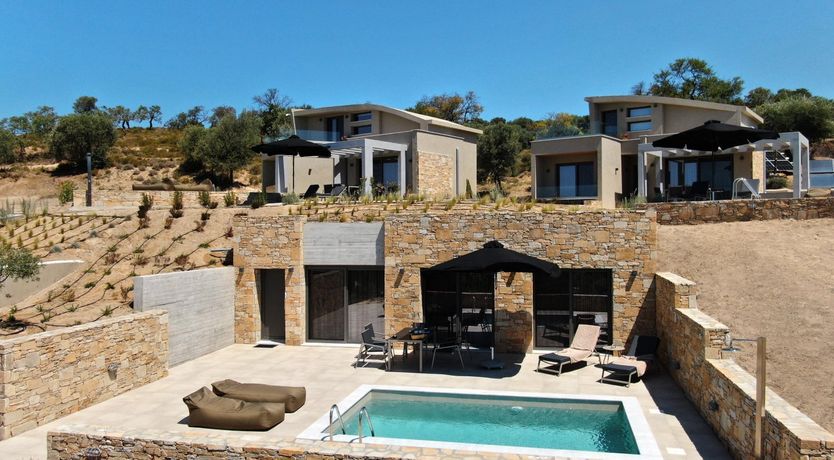 Photo of The Water Dragon