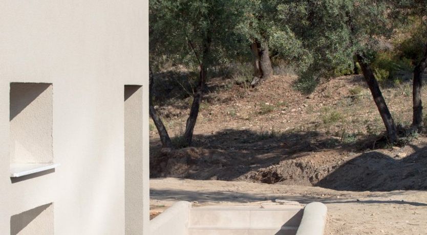 Photo of The Water Dragon