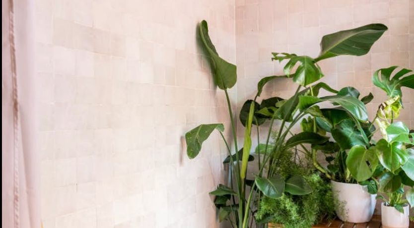 Photo of Serene River Retreat