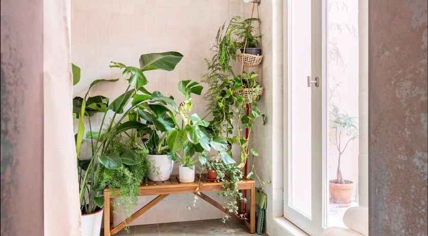 Photo of Serene River Retreat