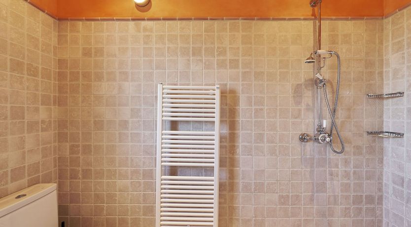 Photo of Island Essence