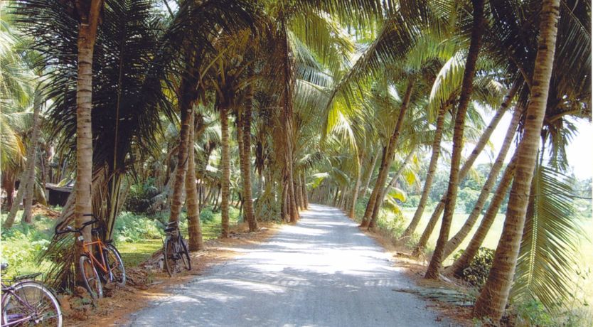 Photo of 2 Bedroom Apartment (A)