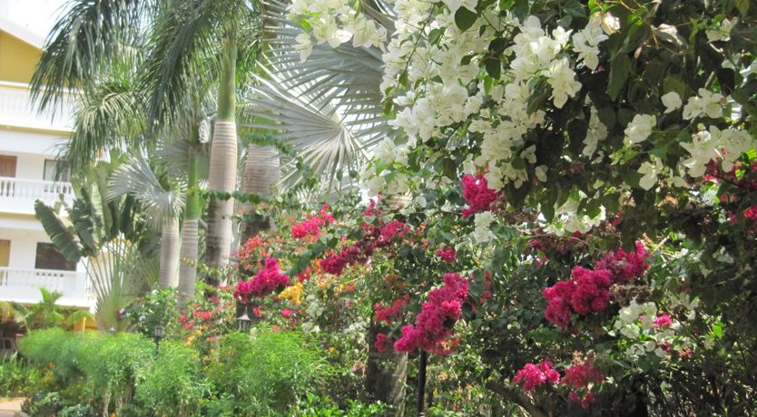 Photo of 2 Bedroom Apartment (A)