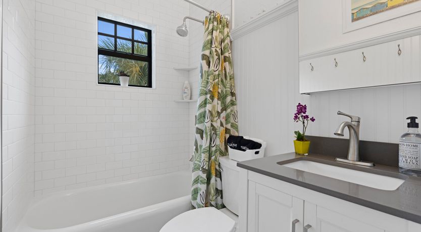 Photo of Blue Water & Palm Trees