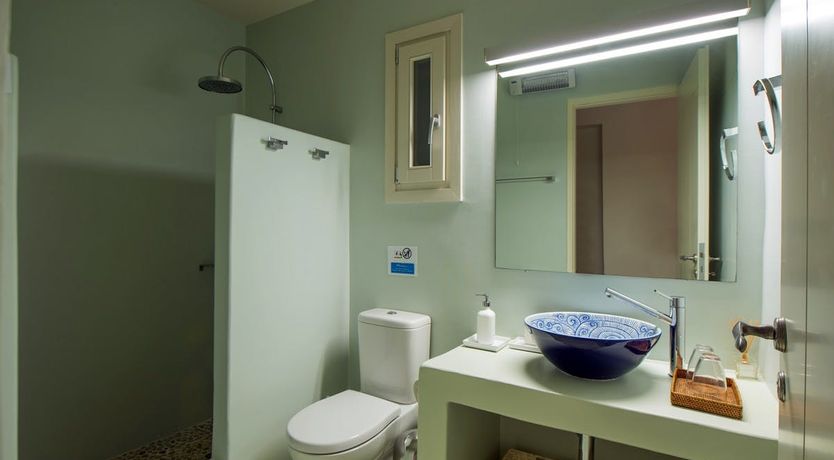 Photo of Lion of Kea