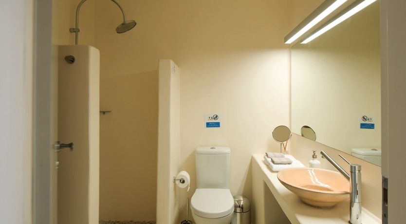 Photo of Lion of Kea