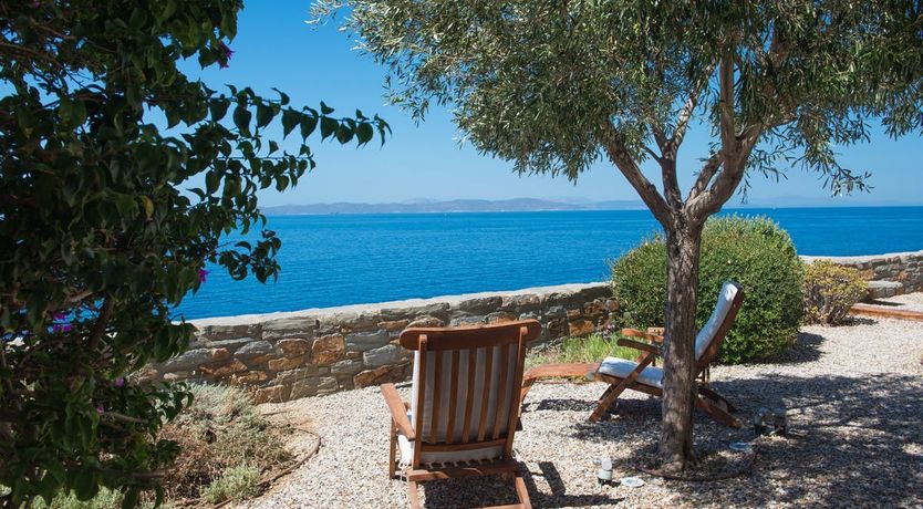 Photo of Lion of Kea