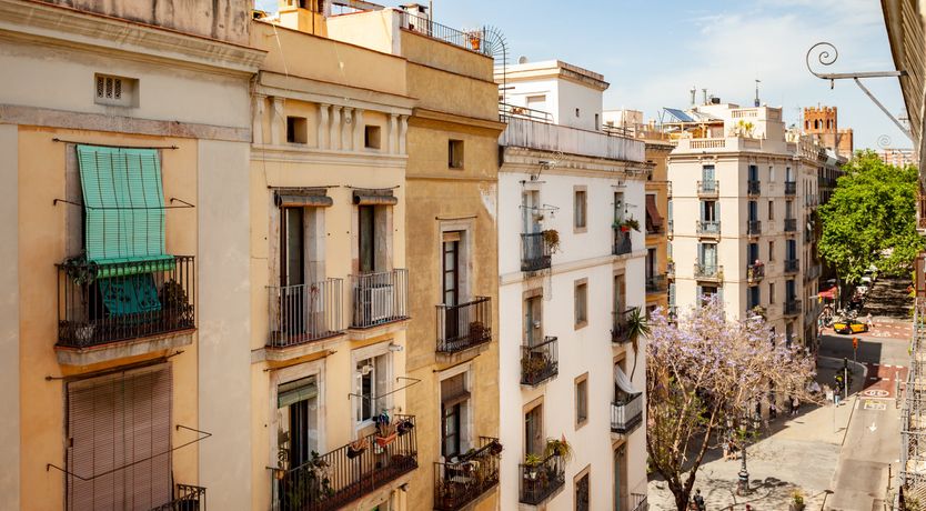 Photo of Born to Light