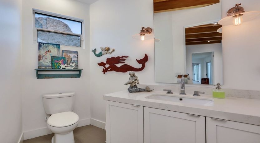 Photo of The Garden Cactus