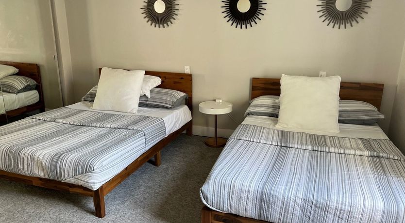 Photo of The Garden Cactus