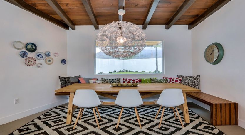 Photo of The Garden Cactus