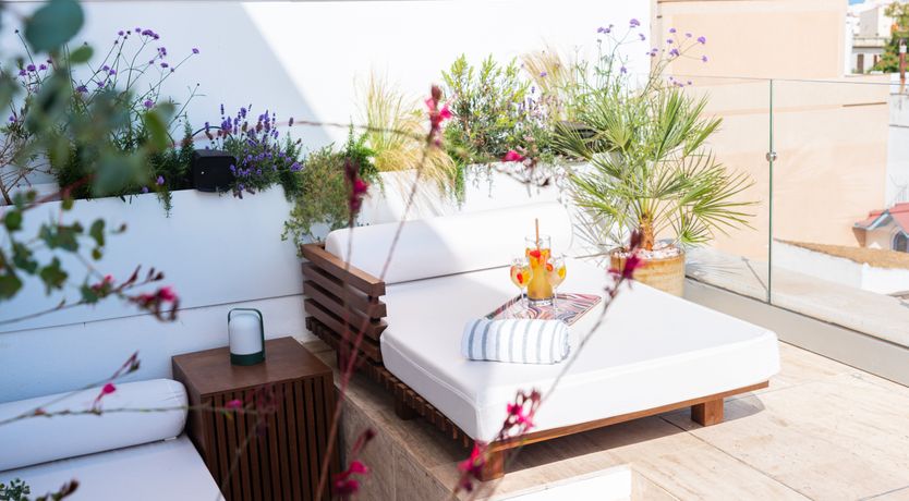 Photo of Sun-Drenched Soul