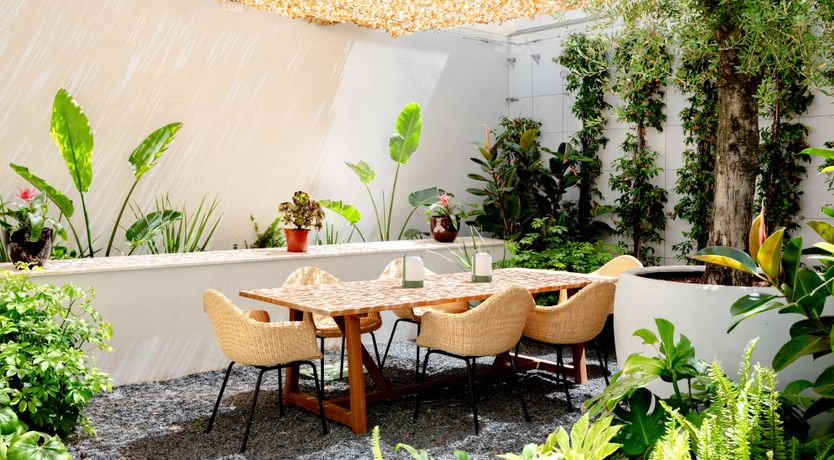 Photo of Sun-Drenched Soul