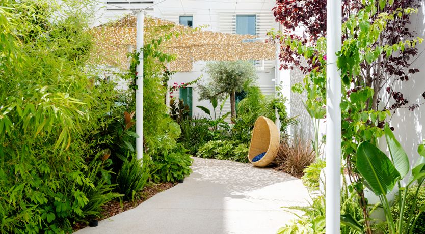 Photo of Sun-Drenched Soul