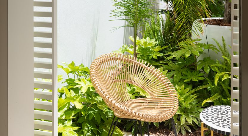 Photo of Sun-Drenched Soul